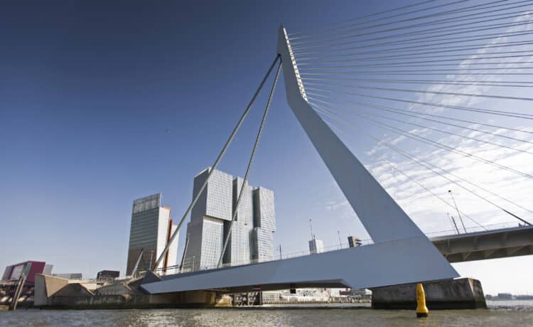 Erasmusburg Bridge Rotterdam