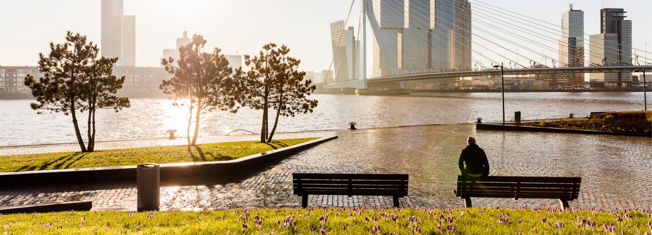 Person sat on a bench looking out towards the Erasmusburg and river