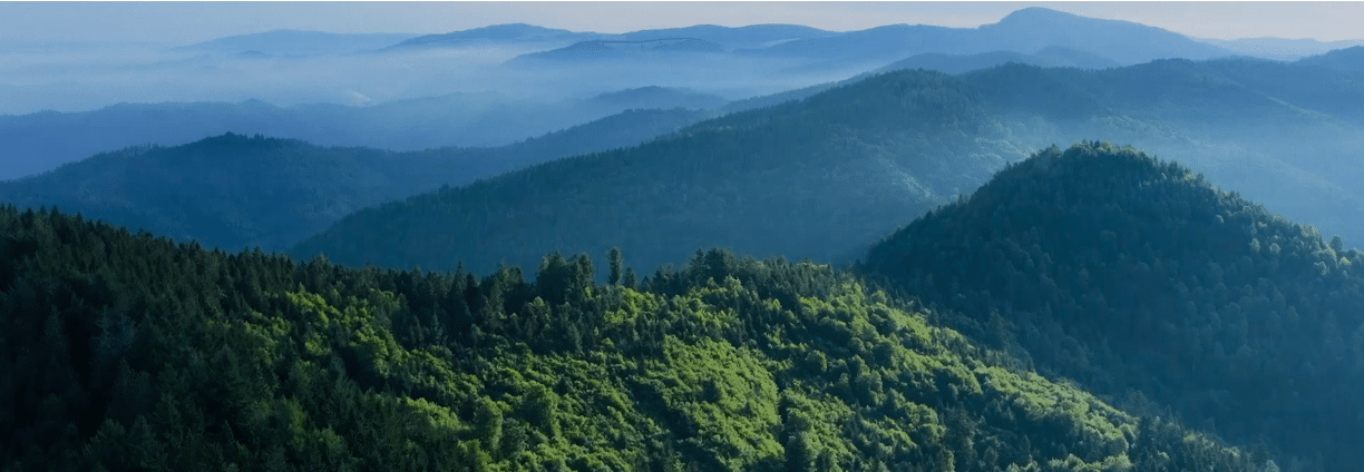 World Energy Council Congress in Rotterdam 2023