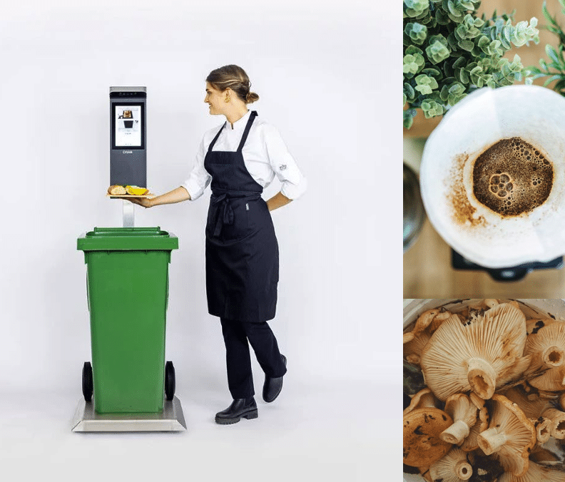 Catering team member places food in the bin